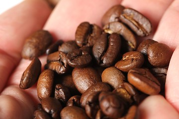 Image showing coffe beans hand