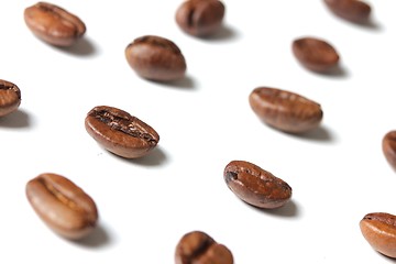 Image showing coffee beans in rows