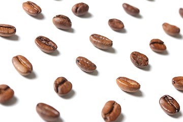 Image showing coffee beans in rows