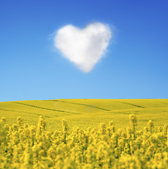 Image showing 	Oilseed and a heart shaped cloud