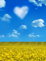 Image showing 	Oilseed and a heart shaped cloud