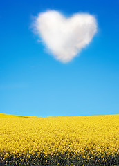 Image showing 	Oilseed and a heart shaped cloud