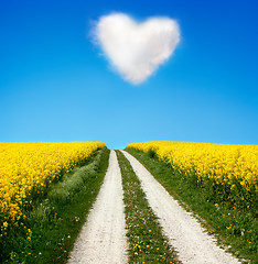 Image showing Oilseed and a heart shaped cloud