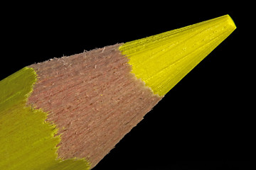 Image showing yellow pencil