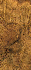 Image showing burl wood background