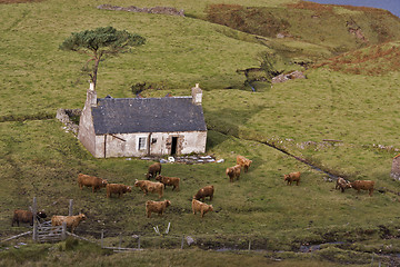 Image showing old abandoned house in north scotland