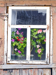 Image showing wooden farm house fog window flower windowsill 