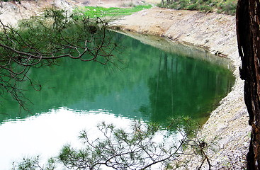Image showing The reflection green. Xyliatou. Cyprus