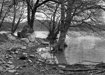 Image showing lakeside scenery