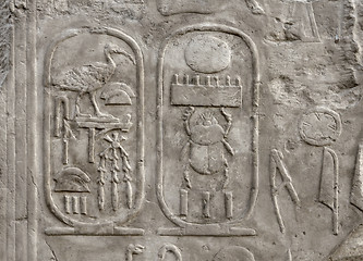 Image showing relief at Luxor Temple in Egypt