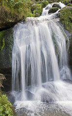 Image showing idyllic Triberg Waterfalls