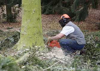 Image showing lumberman at work