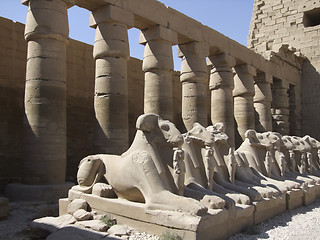 Image showing scenery around Precinct of Amun-Re