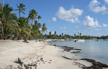 Image showing Dominican Republic beach scenery