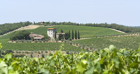 Image showing Chianti in Tuscany