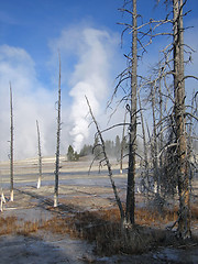 Image showing Yellowstone National Park