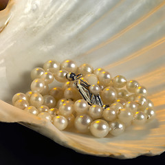 Image showing seashell and pearl necklace
