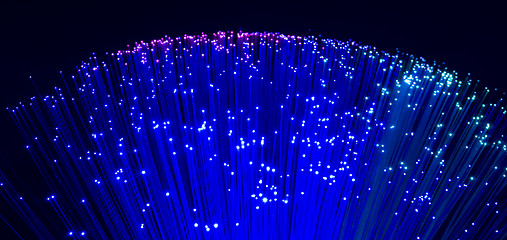 Image showing plastic optical fibers