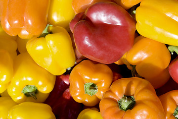 Image showing sunny bell peppers