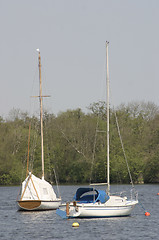 Image showing covered yachts