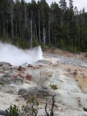 Image showing geyser at the Yellowstone National Park