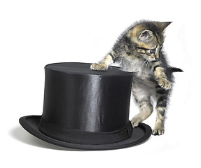 Image showing kitten besides a black top hat