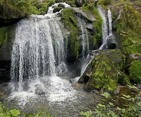 Image showing idyllic Triberg Waterfalls