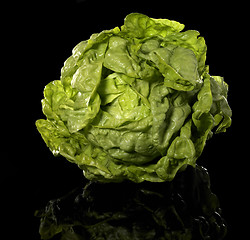 Image showing green head of lettuce