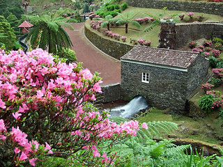 Image showing idyllic park at Sao Miguel Island