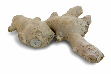 Image showing ginger