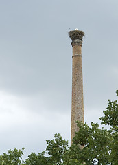 Image showing storkÂ´s nest