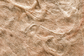 Image showing light brown felty back