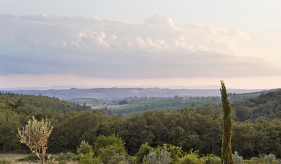 Image showing evening scenery near San Regolo in Chianti