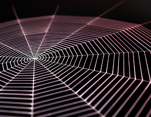 Image showing painted cobweb