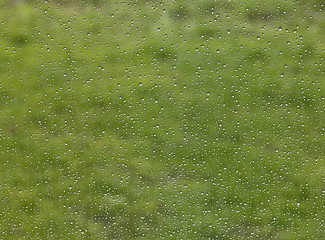 Image showing raindrops in green blurry back
