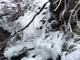 Image showing frozen winter detail