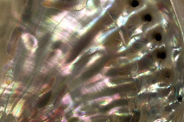 Image showing colorful nacre closeup