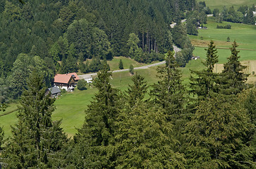 Image showing Black Forest scenery at summer time