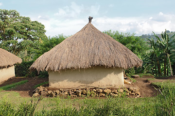 Image showing traditional village near Rwenzori Mountains