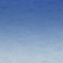 Image showing wet blue back