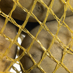 Image showing potatoes in a net