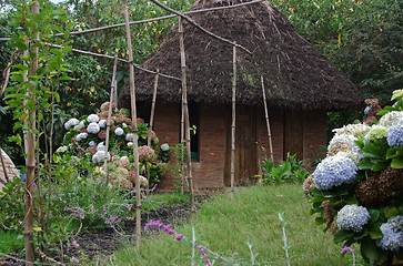 Image showing cottage in Uganda