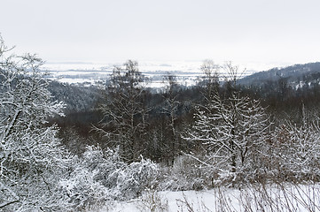 Image showing winter scenery in Hohenlohe