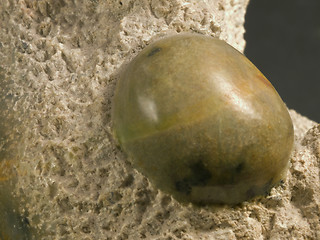 Image showing abstract soapstone detail