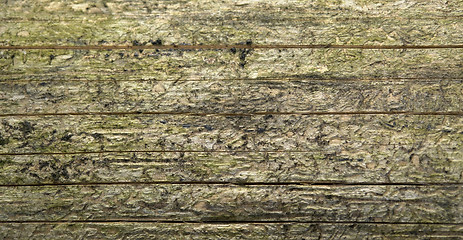 Image showing weathered wood detail