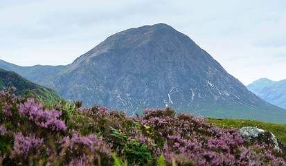 Image showing Buachaille Etive Mor