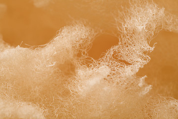 Image showing orange colored abstract filament