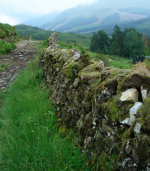 Image showing West Highland Way at summer time