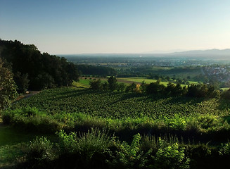 Image showing around Hochburg Emmendingen at evening time