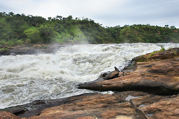 Image showing detail of the Murchison Falls